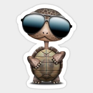 Cool Baby Turtle Wearing Sunglasses Sticker